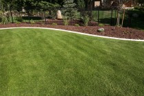 009_garden_edging