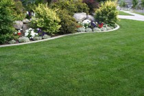 009_landscaping_and_yard_makeovers