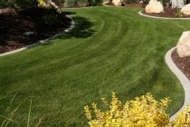 010_landscaping_and_yard_makeovers