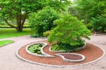 013_landscaping_and_yard_makeovers