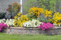 014_landscaping_and_yard_makeovers