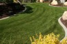 010_landscaping_and_yard_makeovers